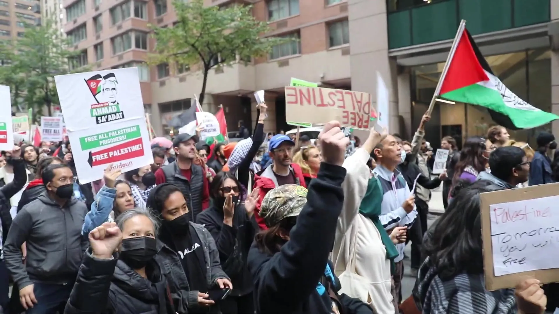 Adam wilson __youtube-2.Adam wilson __youtube